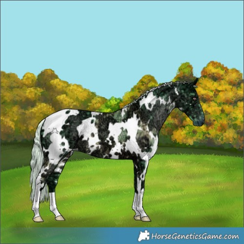 Horse Color:Watercolor White Spotted Chocolate Silver Black Chinchilla Ice 