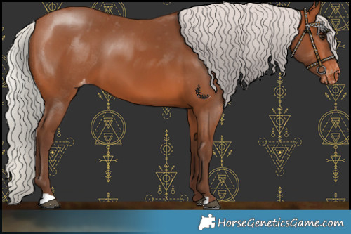 Horse Color:Silver Brown Varnish 
