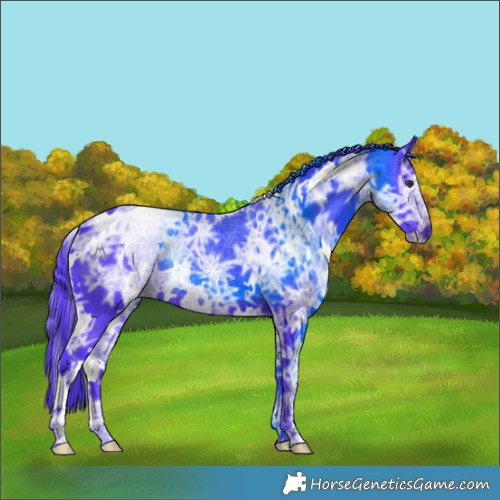 Horse Color:Watercolor White Spotted Chocolate Smoky Black Chinchilla Ice 