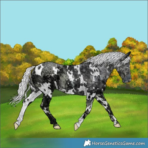 Horse Color:Watercolor White Spotted Chocolate Silver Smoky Creme Chinchilla Ice 