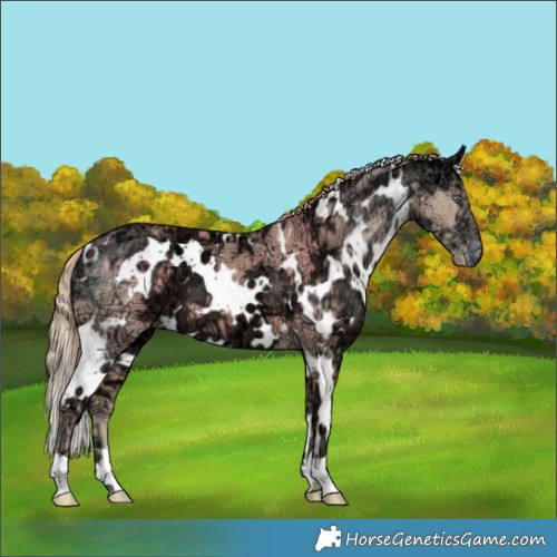 Horse Color:Watercolor White Spotted Chocolate Smoky Creme Chinchilla Ice