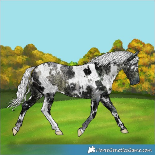 Horse Color:Watercolor White Spotted Chocolate Silver Smoky Creme Chinchilla Ice 