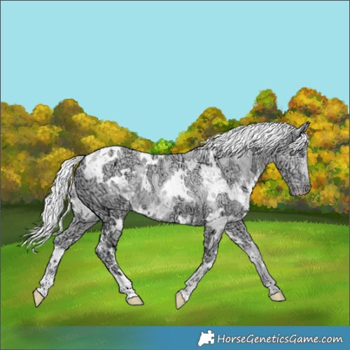 Horse Color:White Spotted Chocolate Silver Smoky Creme Chinchilla Ice