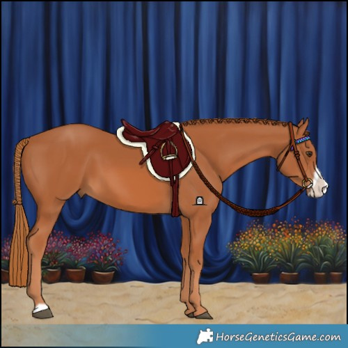 Horse Color:Chestnut Frame