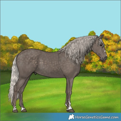Horse Color:Silver Black 