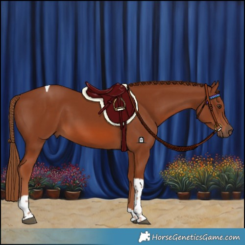 Horse Color:Chestnut Tobiano 