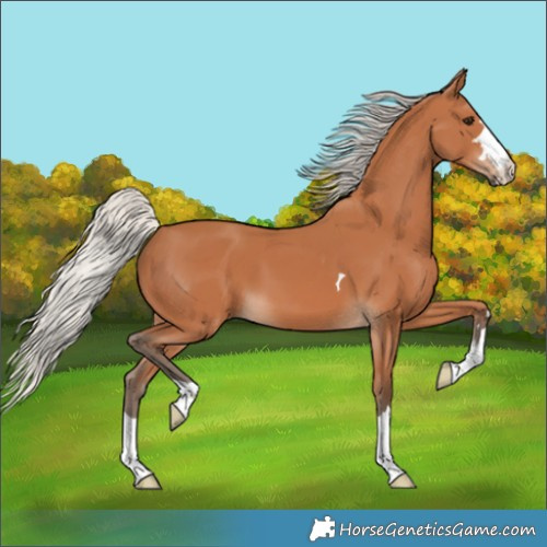 Horse Color:Silver Bay