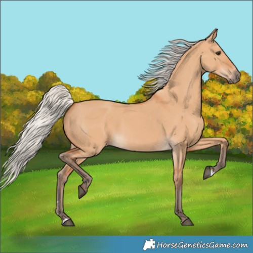 Horse Color:Silver Bay Dun