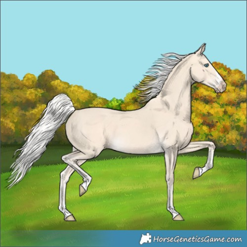 Horse Color:Silver Perlino