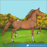 Horse Color:Chestnut Tobiano Varnish 