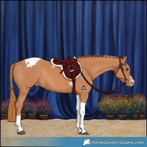 Horse Color:Chestnut Tobiano Varnish Rabicano 