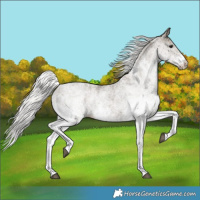 Horse Color:White Spotted Silver Smoky Black 