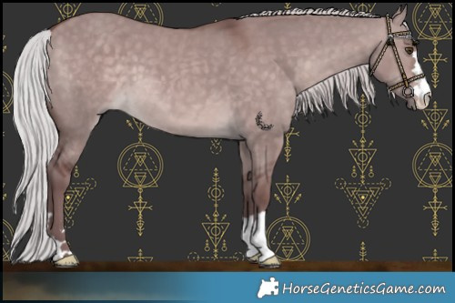 Horse Color:Platinum Chocolate Silver Brown Dun 