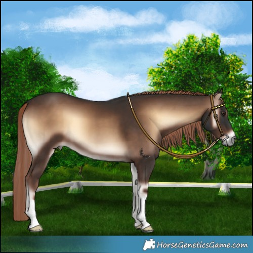 Horse Color:Liver Red Onyx 