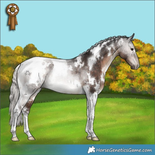 Horse Color:White Spotted Silver Brown Tobiano Rabicano