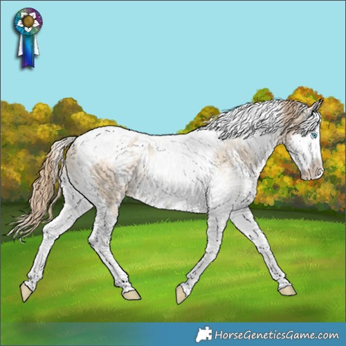 Horse Color:White Spotted Perlino Dun Splash Tobiano Rabicano