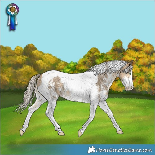 Horse Color:Silver Buckskin Dun Sabino Tobiano 