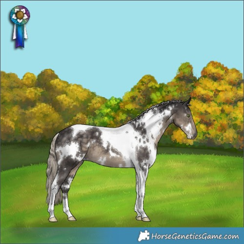 Horse Color:White Spotted Silver Smoky Black Tobiano 