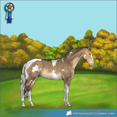 Horse Color:White Spotted Silver Buckskin Dun Splash Tobiano 