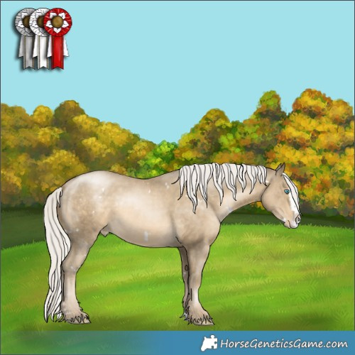 Horse Color:White Spotted Silver Smoky Black Pearl Splash Appaloosa 