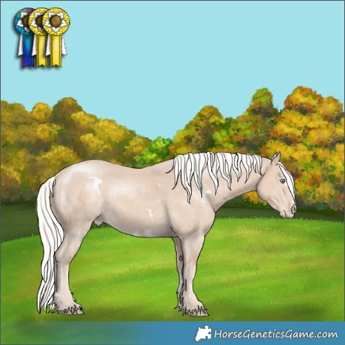 Horse Color:White Spotted Silver Smoky Creme Splash Appaloosa