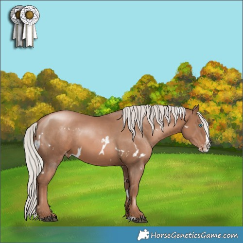 Horse Color:White Spotted Silver Black Pearl Splash Appaloosa 