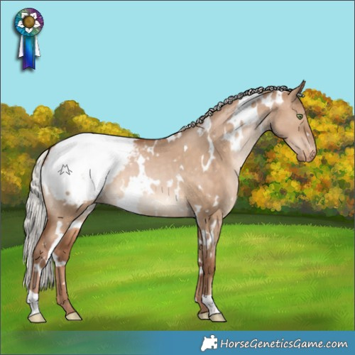 Horse Color:White Spotted Silver Brown Pearl Dun Snowcap 