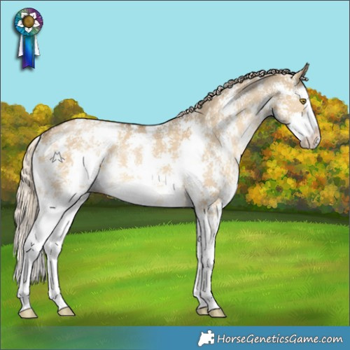 Horse Color:Chocolate Palomino Dun Sabino Splash 