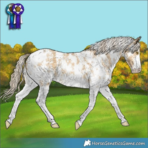 Horse Color:Chocolate Palomino Dun Sabino