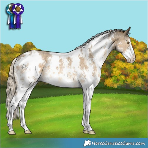 Horse Color:White Spotted Chocolate Palomino Mushroom Sabino