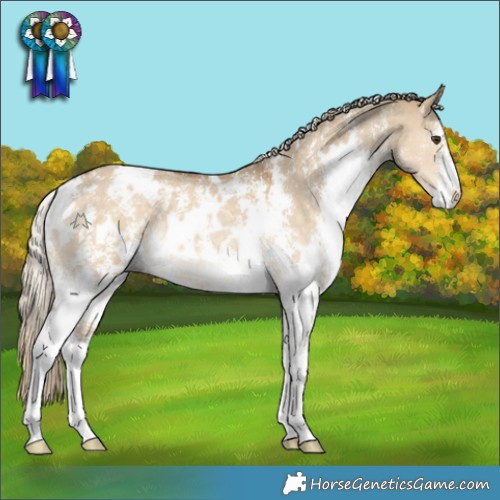 Horse Color:White Spotted Chocolate Palomino Dun Sabino