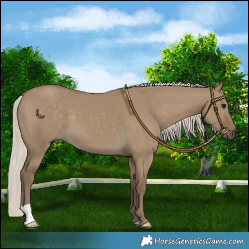 Horse Color:Silver Smoky Grullo 