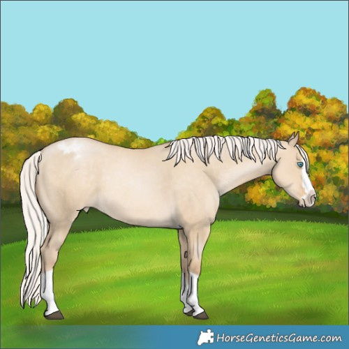 Horse Color:Silver Smoky Grullo Snowdrop Splash Tobiano Varnish Rabicano