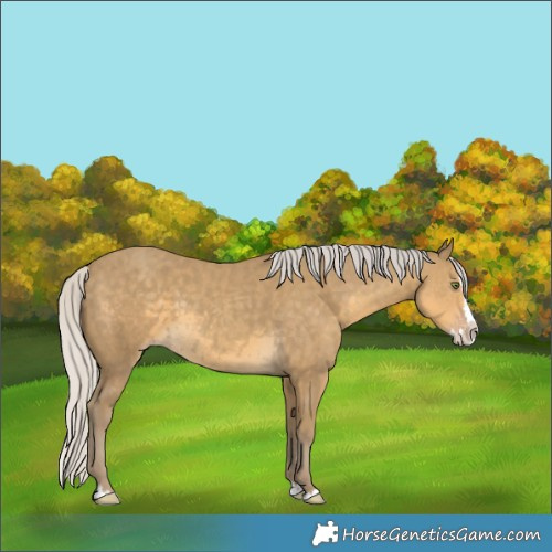 Horse Color:White Spotted Silver Classic Cream Champagne Splash