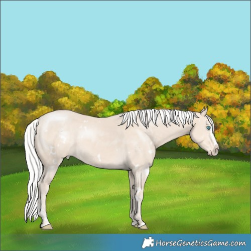 Horse Color:White Spotted Silver Smoky Creme Splash Varnish