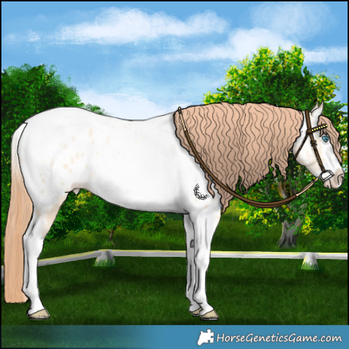 Horse Color:Classic Cream Champagne Pearl Splash Tobiano Near Leopard