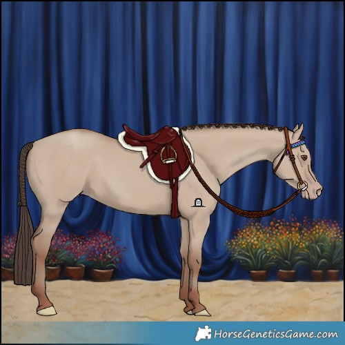 Horse Color:Classic Champagne Dun 
