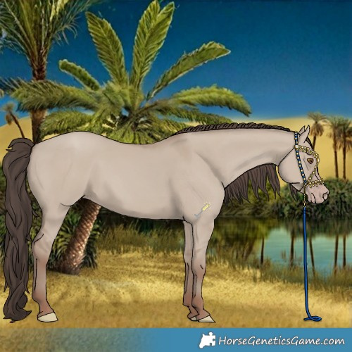 Horse Color:Classic Champagne Dun 