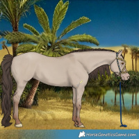 Horse Color:Classic Champagne Dun 