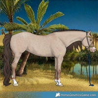 Horse Color:Classic Champagne Dun 