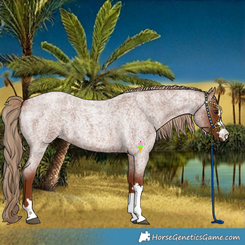 Horse Color:Red Roan 
