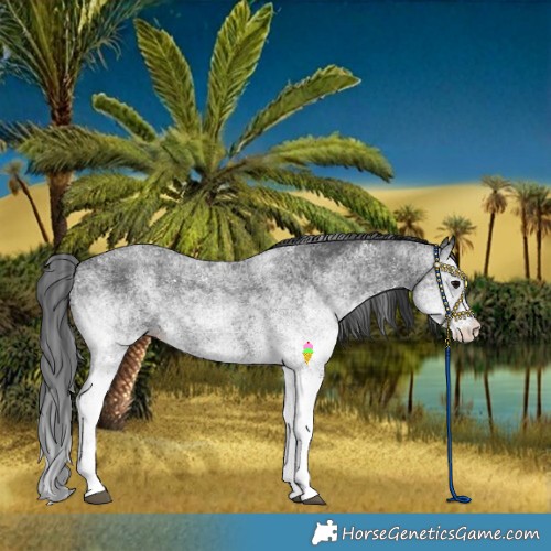 Horse Color:White Spotted Black 