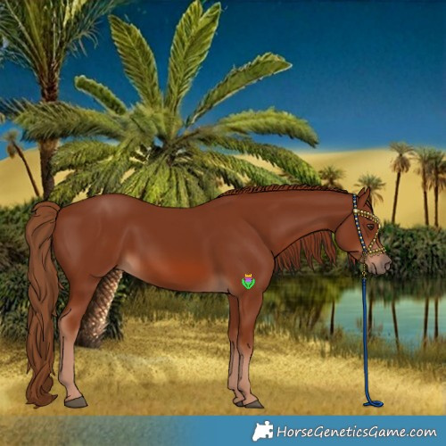 Horse Color:Chestnut 