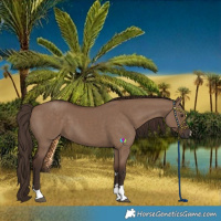 Horse Color:Liver Red Dun