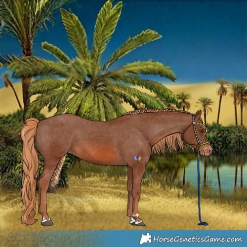 Horse Color:Chestnut Varnish