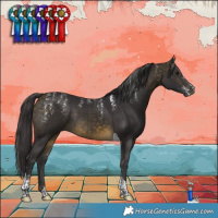 Horse Color:Powder White Buckskin Tobiano Rabicano 