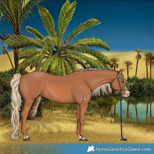 Horse Color:Chestnut Splash Frame 