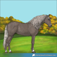 Horse Color:Silver Black 