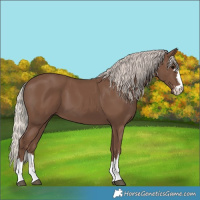 Horse Color:Silver Black 