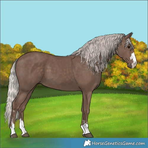 Horse Color:Silver Black